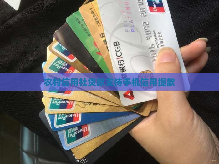 农村信用社贷款网上提款