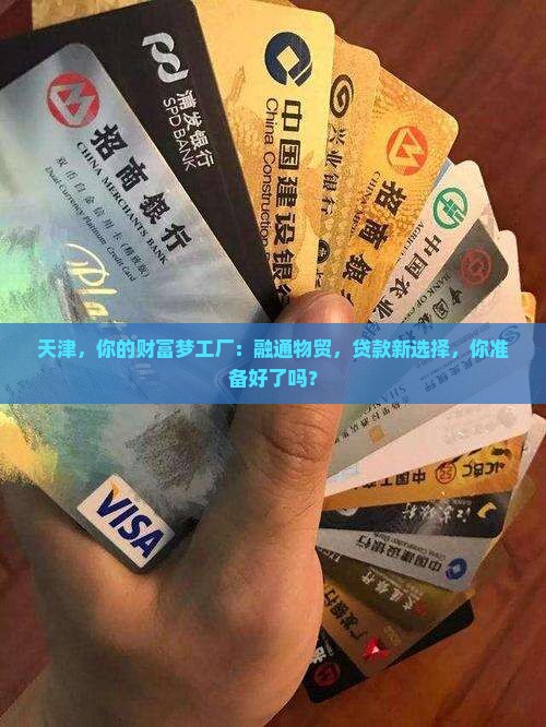 天津融通物贸贷款平台