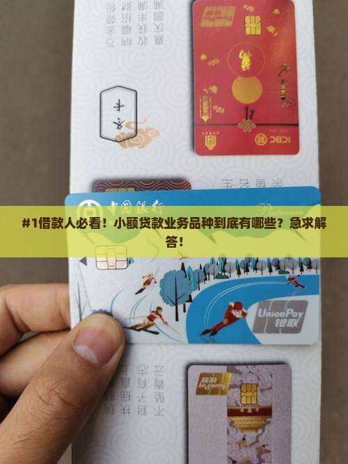 小额贷款业务品种包括