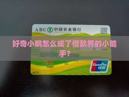 小鹅是什么贷款平台的