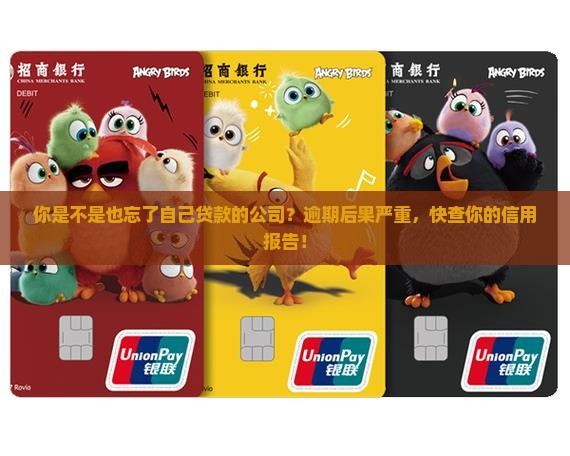 忘记自己贷款的公司