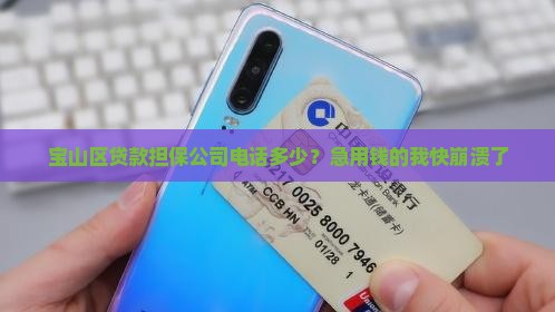 宝山区贷款担保公司电话