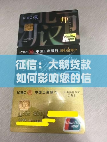 大鹅推贷款上征信吗