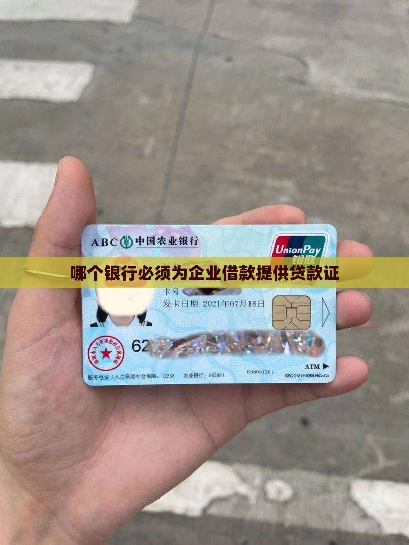 哪个银行有贷款证
