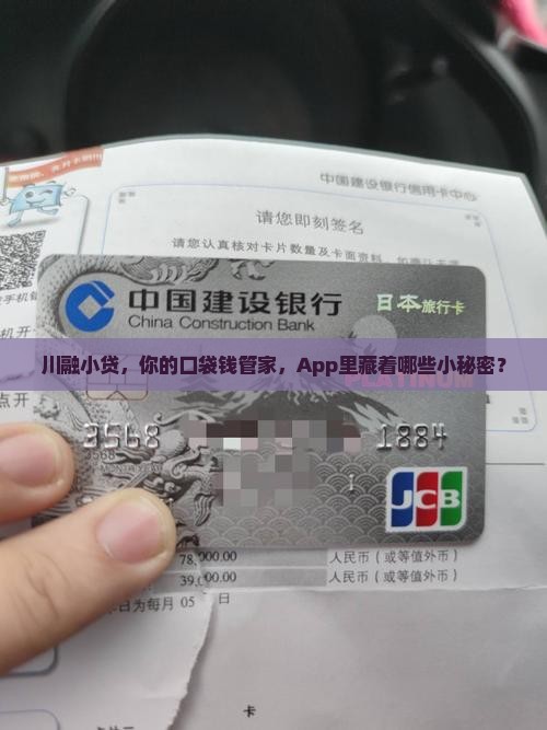 川融小额贷款app