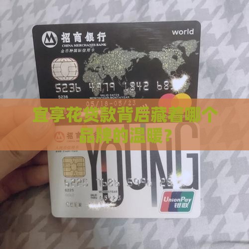 宜享花贷款是什么旗下的
