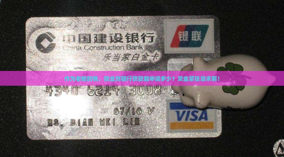 微业贷银行贷款