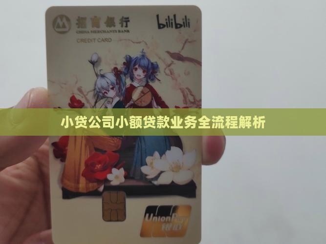 小贷公司贷款业务
