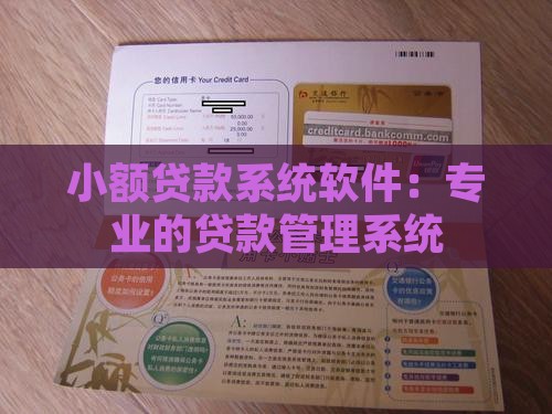 小额贷款系统软件