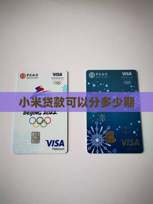 小米贷款最长可分多少期