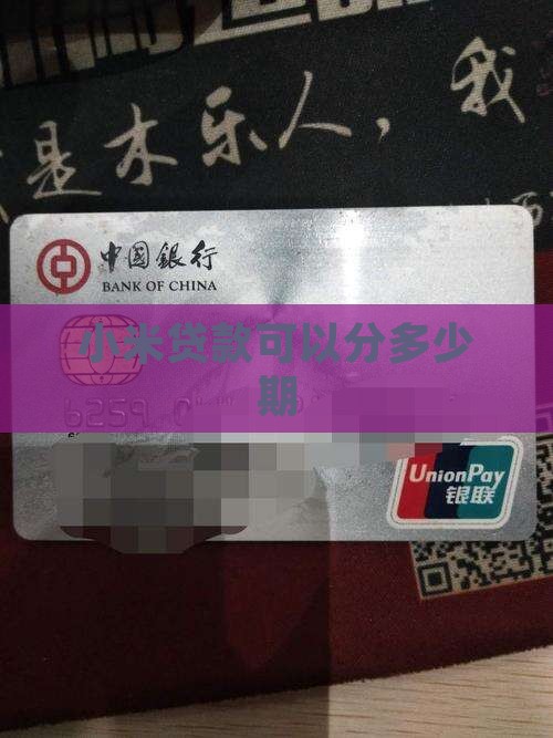 小米贷款最长可分多少期