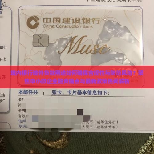 境内银行境外贷款用途