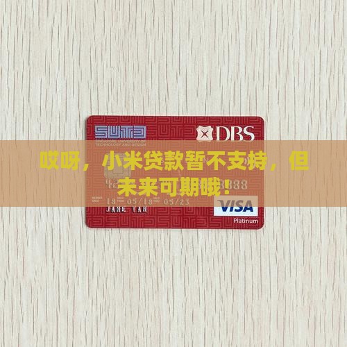 小米贷款借不了敬请期待