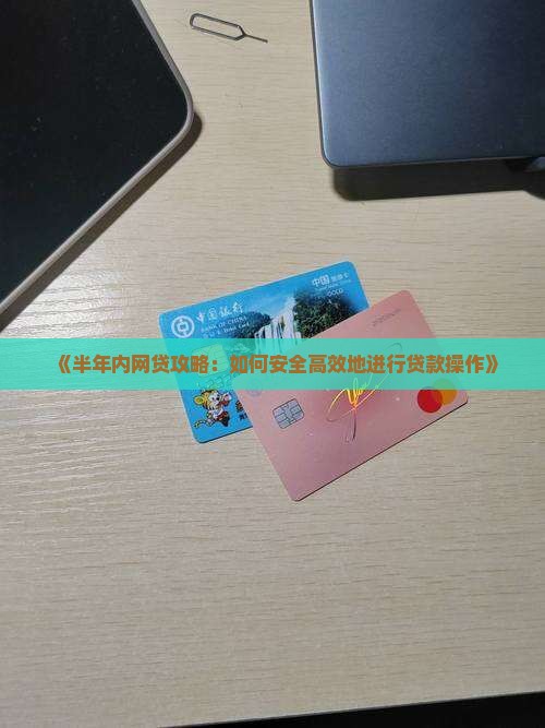 半年内网络贷款