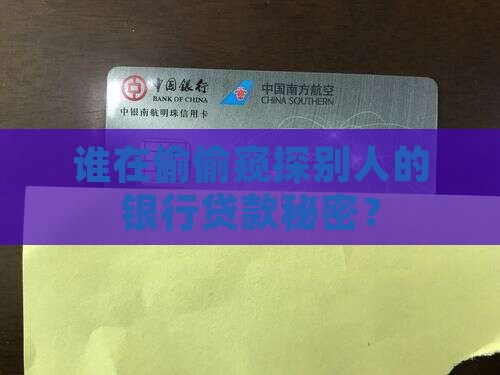 别人银行的贷款信息