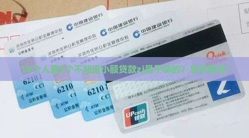 小额贷款zj是什么公司