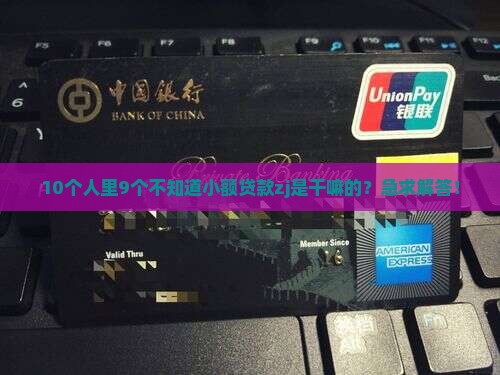 小额贷款zj是什么公司