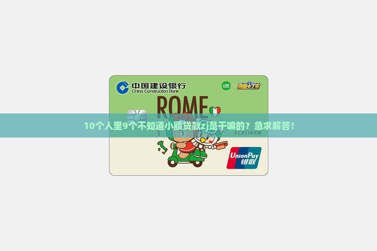小额贷款zj是什么公司