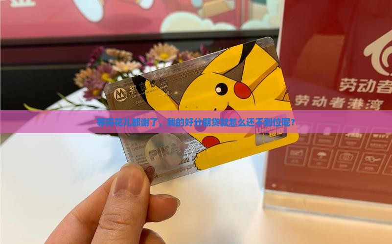 好分期贷款下来慢呢