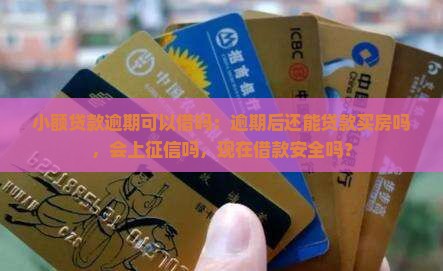 小额贷款逾期可以借吗