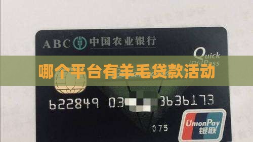 哪个平台有羊毛贷款