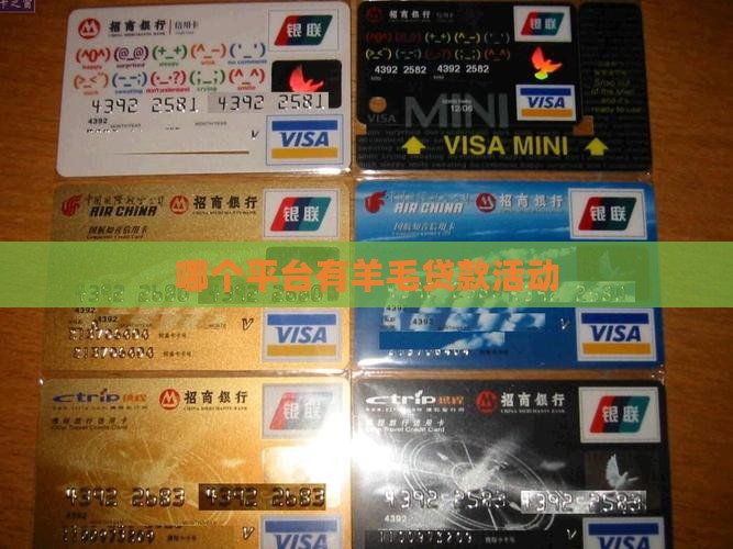 哪个平台有羊毛贷款