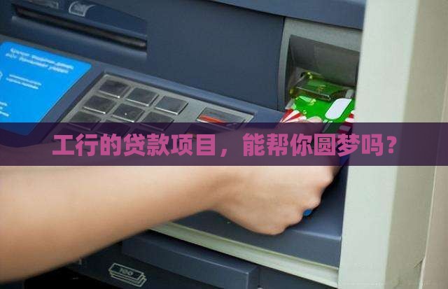 工行银行贷款项目