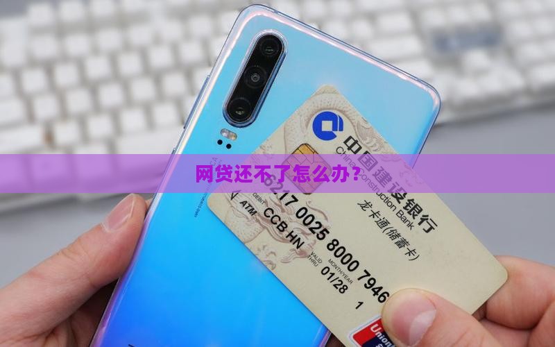 在网上贷款还不了