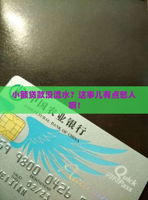 小额贷款没流水