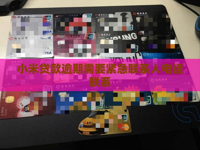 小米贷款需要联系人了