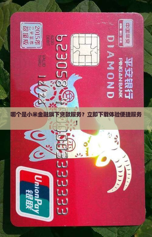哪个是小米贷款
