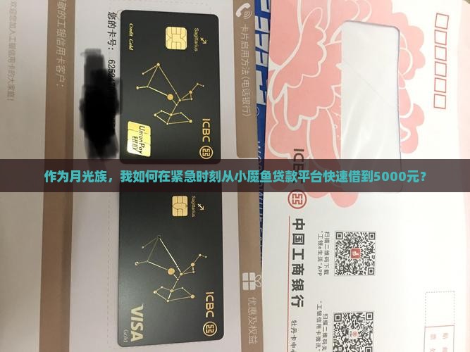 小魔鱼贷款平台