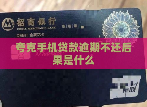 夸克手机贷款