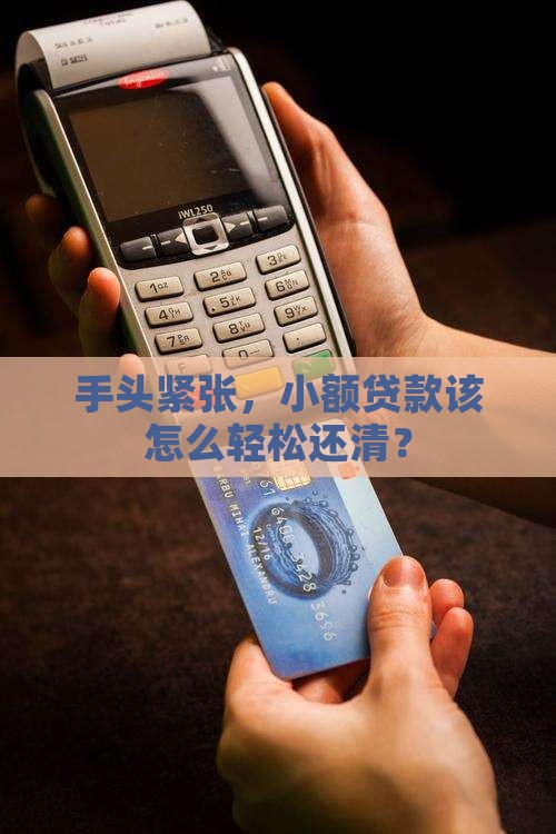 已有小额贷款怎么还款呢