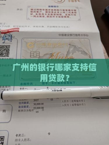 广州有什么银行可以信用贷款 广州有什么银行可以信用贷款
