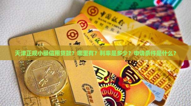 天津正规小额信用贷款