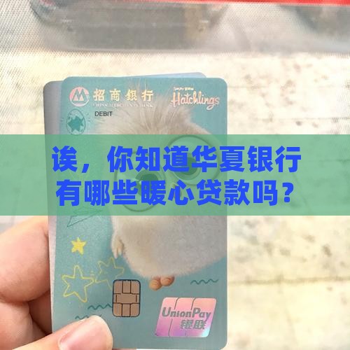 华夏银行有啥贷款