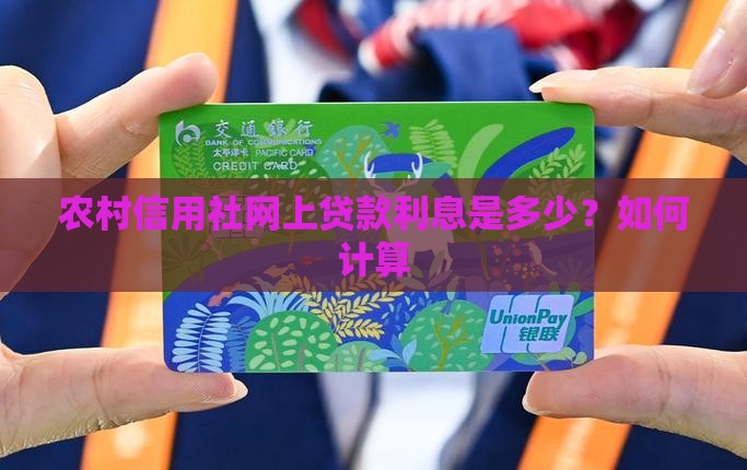 农村信用社网上贷款利息