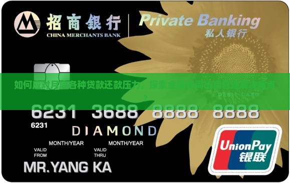 又到月底了各种贷款要还