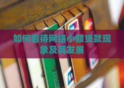如何看待网络小额贷款
