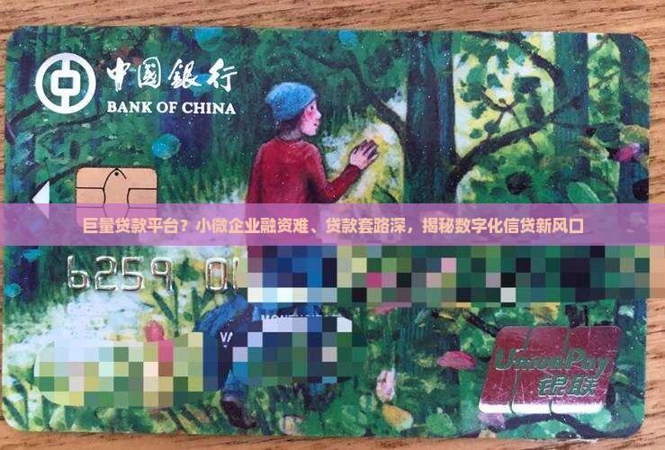 巨量贷款平台
