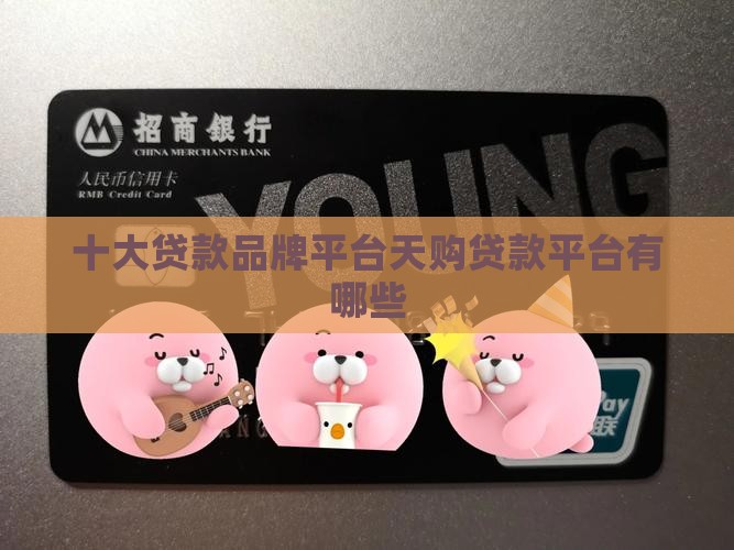 天购贷款平台有哪些