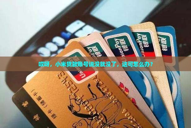 小米贷款账号没了