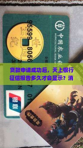 办了贷款几天上征信