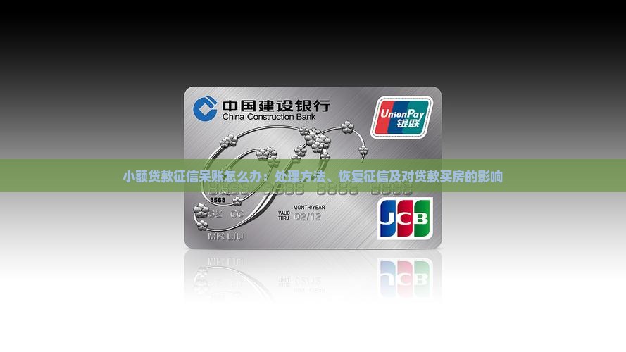 小额贷款征信呆账怎么办