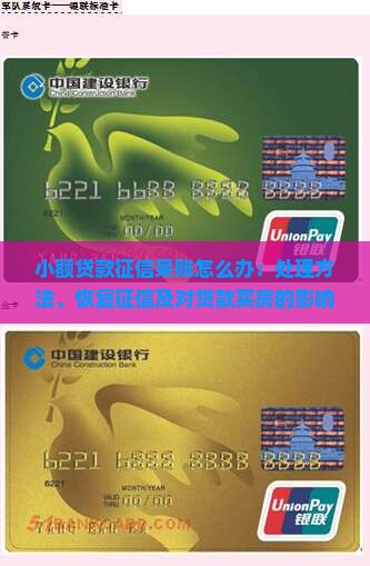 小额贷款征信呆账怎么办