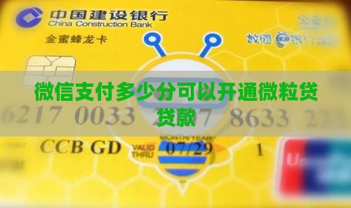 微粒贷要多少支付分才可以贷款