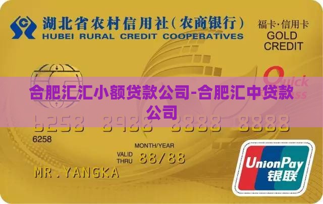 合肥汇汇小额贷款