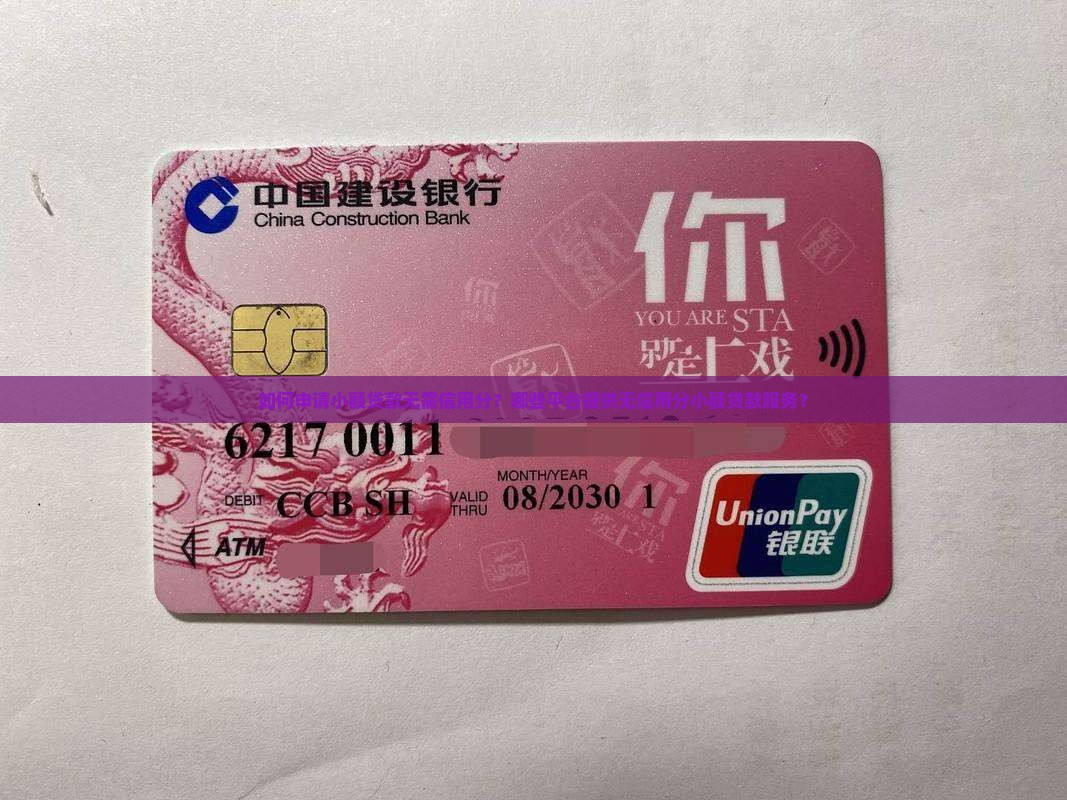 小额贷款不需要信用分 小额贷款不需要信用分