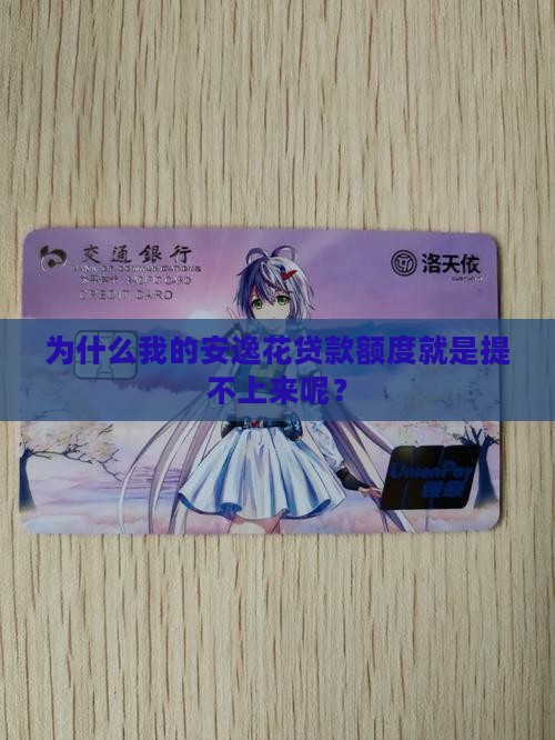 安逸花贷款额度提不出